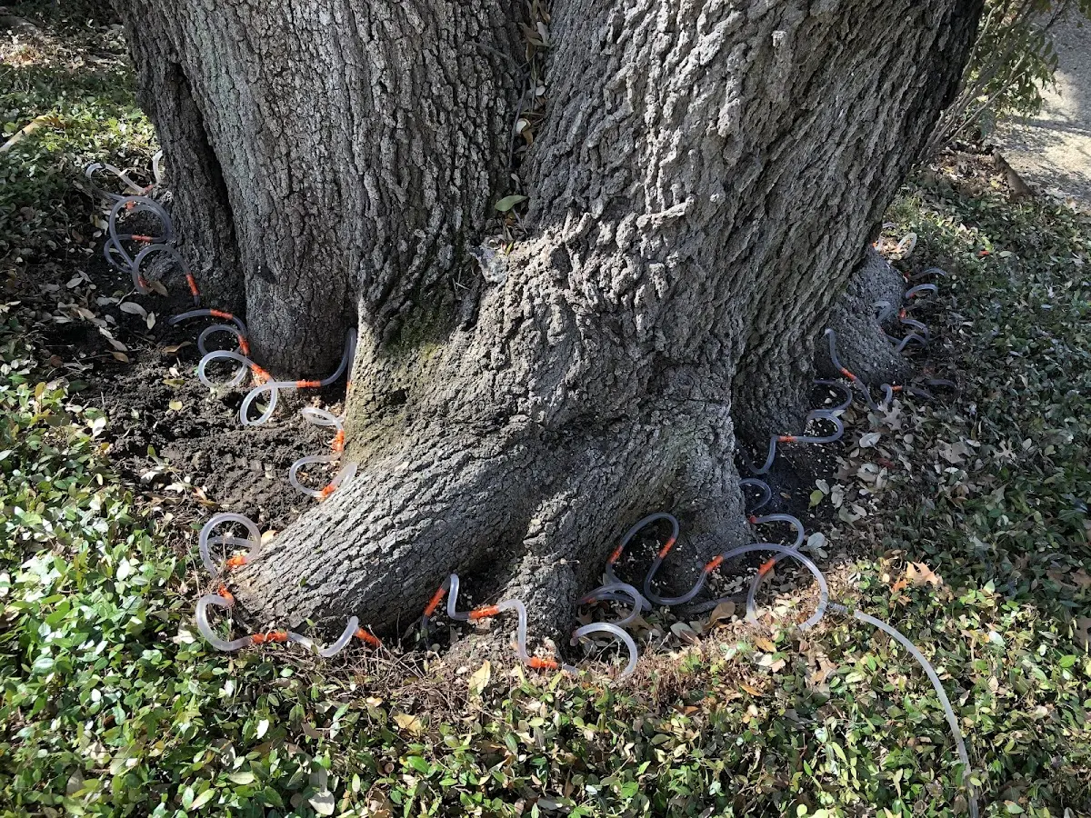 Detailed Shrub and Hedge Trimming job site in Flag Pond