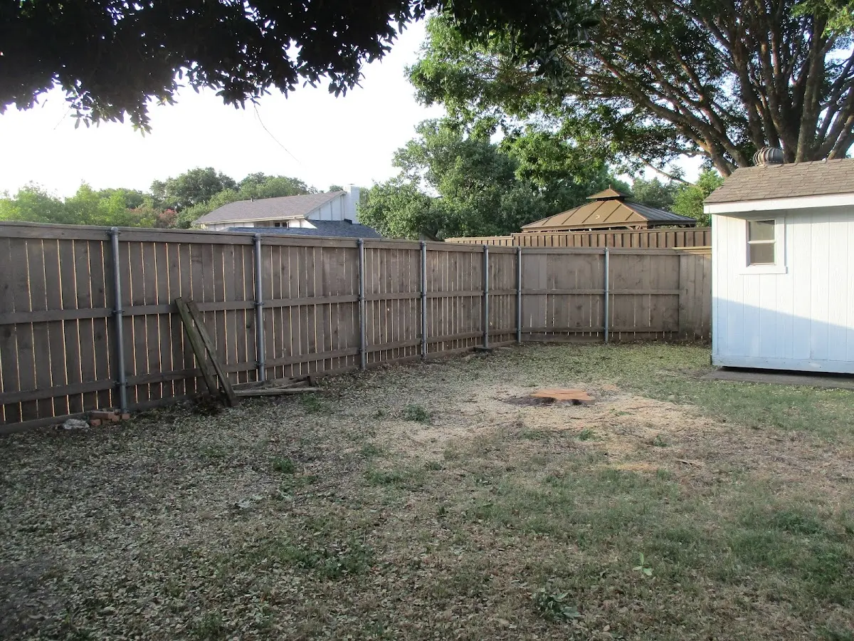 Cleared yard after professional tree removal in Flag Pond